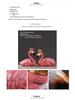 Nordic Crown Flamingo Couple Resin Figurines for Living Room or Study Decor