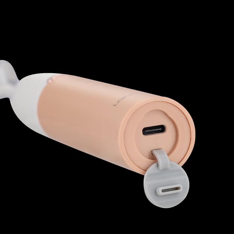 LOCK&LOCK Sonic Electric Toothbrush