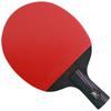 Tenis de masă – Palete tenis de masă