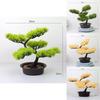 Home Decor Artificial Pine Tree With Plastic Material For Living Room And Office Display
