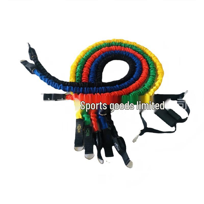 YTYIN 11-Piece Resistance Band Set CN plug (adapter included)