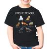 Fox Lover Foxes of The World Types of Foxes Unisex Kids Shirt Gift Boy Girl Youth T-Shirt (Black;S)