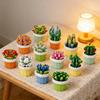 Eternal Flower Bouquet Building Blocks Mini Succulent Potted Plant Building Blocks Desktop Ornament Children Toy Holiday Gift