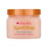 Tree Hut Tree Hut Body Scrub Tropical Mango 510g