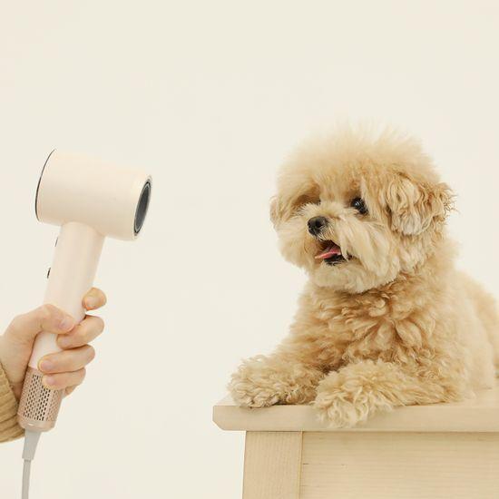 Mooas Super Plasma BLDC Hair Dryer Pro Low-Noise Dryer (Light Beige/Soft Pink)