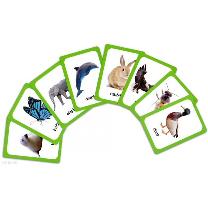 English The Animal Kingdom. Language Game. ELI & ET TOI