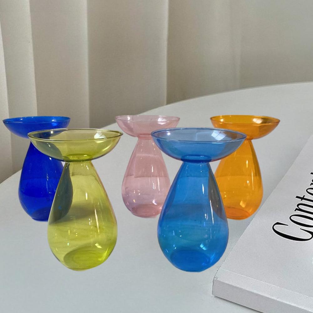 Creative Transparent Long Oval Avocado Hydroponic Vase Avocado Seeds Hydroponic Vessel Flower Pot for Gardening Home Decor