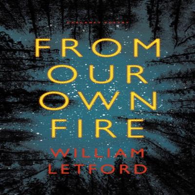 From Our Own Fire by William Letford Paperback Book 9781800173439