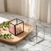Square Transparent Glass Jewelry Box - Ring, Ear Stud, Earring, and Necklace Organizer