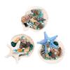 Starfish Conch Shell Refrigerator Magnet 3D Ocean Beach Fridge Magnet Home Kitchen Office Decoration Summer Birthday Gift