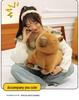 Capybara Plush Toy: Cute Lying Down Capybara Stuffed Animal Pillow - Perfect Birthday Gift Doll