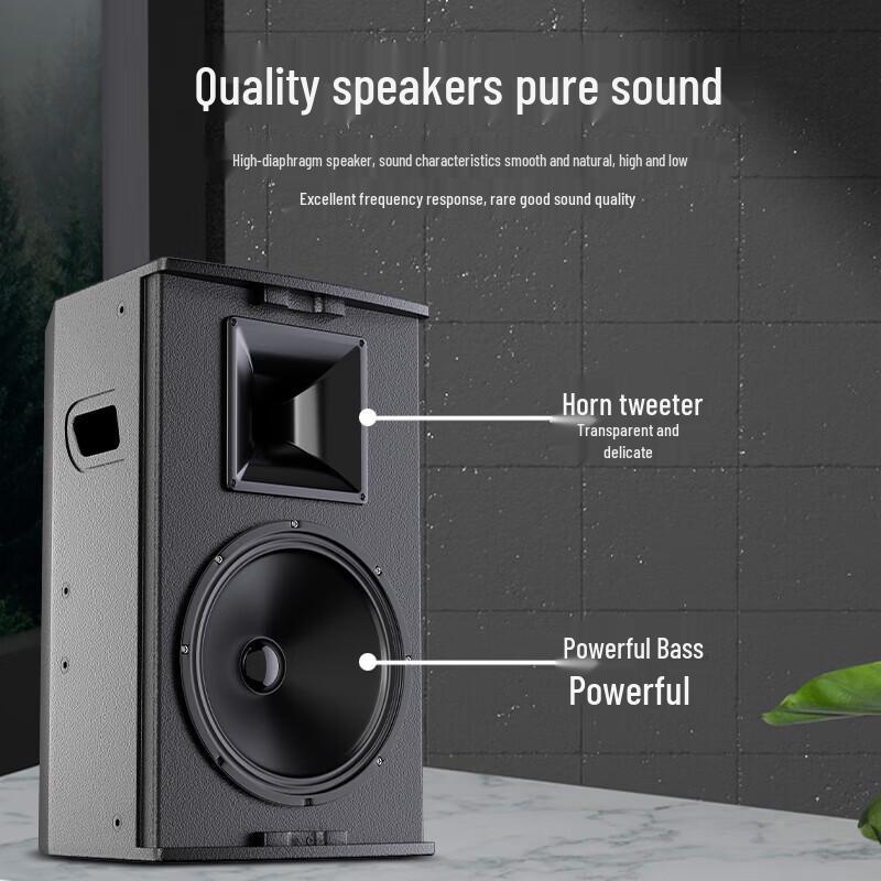 HuiDu Professional 10-inch Full-Range Speaker (CN version)
