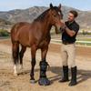 Soaking Boot For Hoof Hooves Relief Soaker Bag Multifunctional Hoof Soaking Bag For Stable Field Training Outdoor Racing Outing