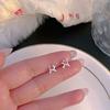 S925 Silver Stud Earrings Women's Ear Hole Earrings Niche Design Earbone Studs High-end Earrings