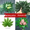 Fatsia Japonica Artificial Leaves for Fruit Shop and Lawn Display