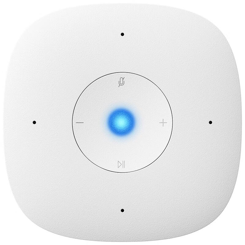 Xiaomi Xiaoai Smart Speaker Play