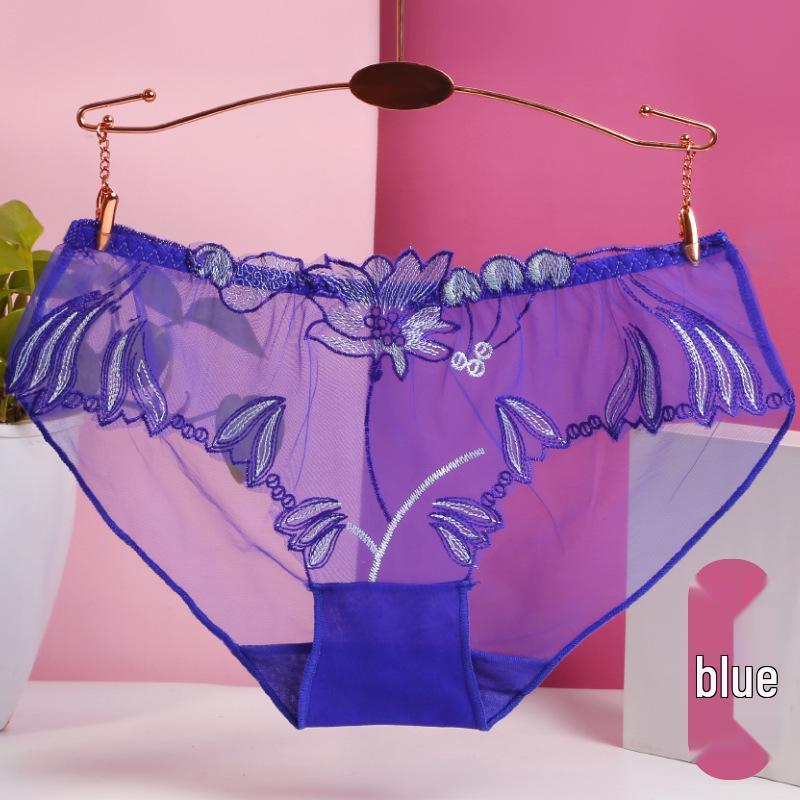 Plus Size Women's Sexy Lace Mesh Embroidered Triangle Panties