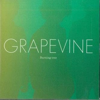 

CD GRAPEVINR - Burning Tree VICL64266PROMO VICTOR Japan Japanese Pop/Rock Used