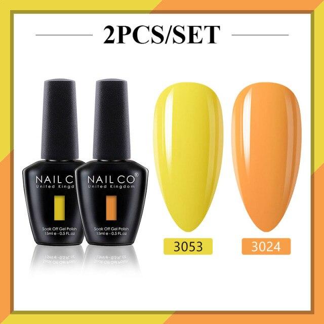 NAILCO 2 цвета, 15 мл, набор гель-лаков для ногтей Vernis, полуперманентный УФ-светодиодный гель для дизайна ногтей, принадлежности для профессионалов, отмачиваемый верхний слой