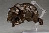figma Brown Bear ABS PVC Painted Movable Figure Non-scale &