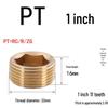 Plastic Mold Tapered Copper Hex Plug - PT British Standard Screw for Water Pipes