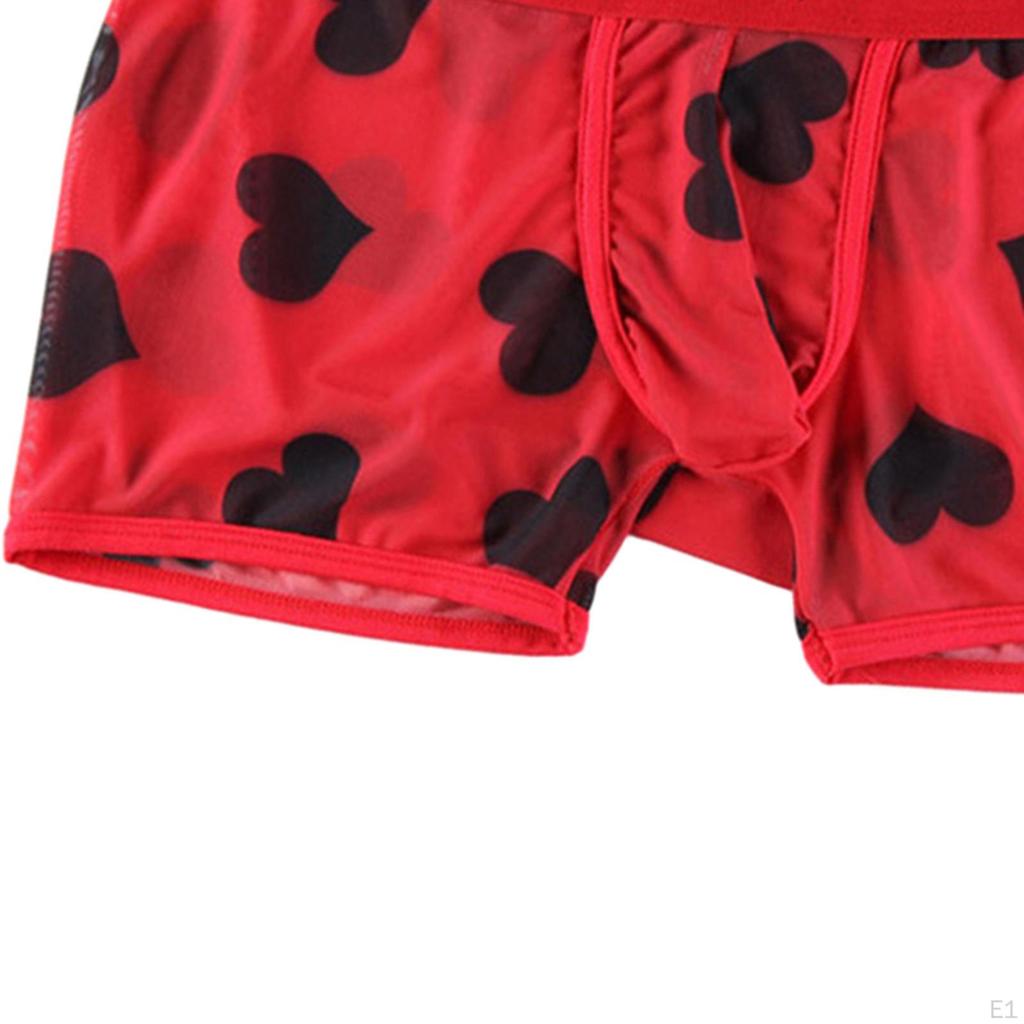 Men's Lace Briefs Mens Underwear Male Bikini for Men Gifts