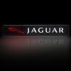 Luz Decorativa LED de Emblema de Grade Frontal para Capô de Carro Para Jaguar XF XE XJ XJ8 X351 F Pace X Type F Type Colar Tesoura Roupas Chaveiro
