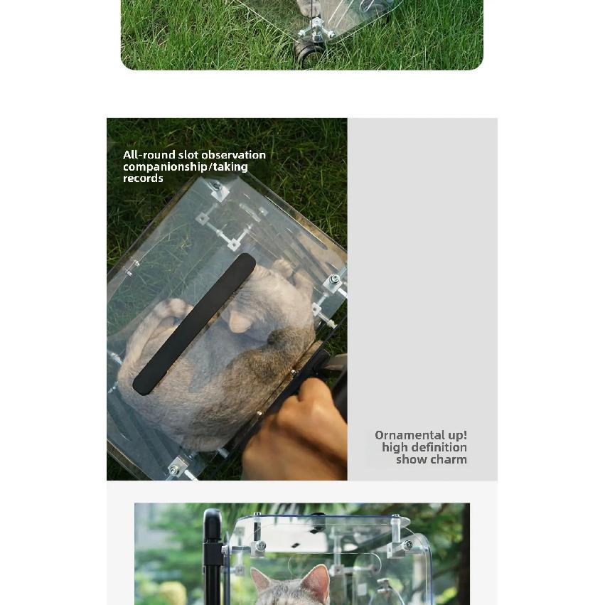 Good-looking Pet Trolley Cat Bag Out Portable Clear Cat Suitcase Large Capacity Dog Carrier Air Suitcases Transport Pet Products