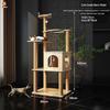 Jingzhou Multi-Level Cat Tree & Activity Center