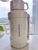 Morphy Richards MR6061 Stainless Steel Portable Electric Kettle