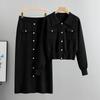 Korean Style Slim Knit Polo Sweater and Skirt Set for Women