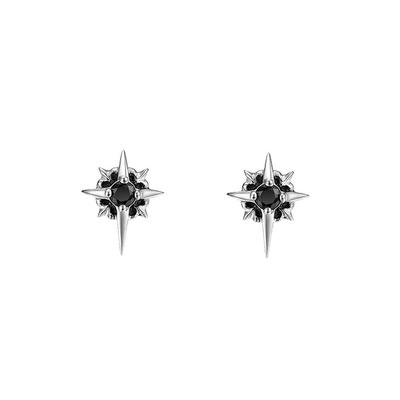 Täglich Cool Damen Party Sonne Streetwear Koreanische Ohrringe Modedesign Herrenschmuck Polaris Ohrstecker