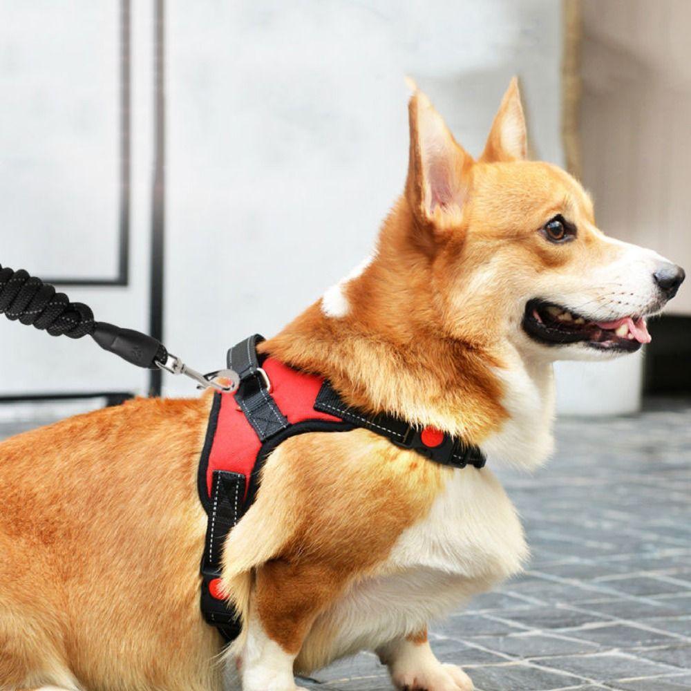 Durable Nylon Dog Cat Harness Adjustable Breathable Dog Harness Vest Heavy Duty Wear-resistant Pet Vest Outdoor