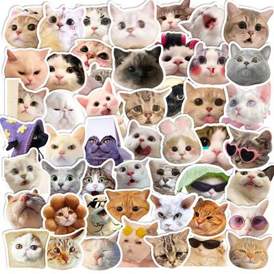 50 Katzenaufkleber Internet-Berühmtheit Katze Emoticon-Paket Graffiti-Aufkleber Niedliche Lustige Katzenkopf-Aufkleber