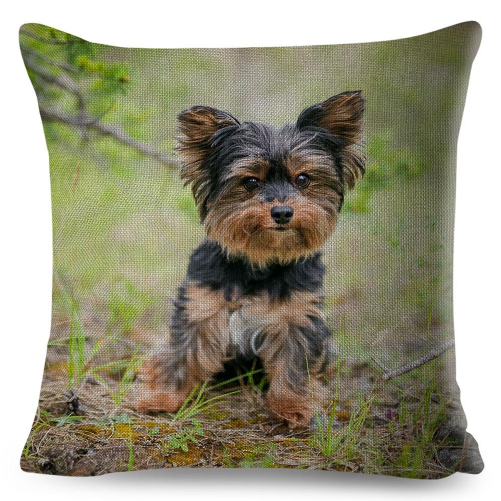 Cute MINI Dog Cushion Cover Decor Pet Animal Printed Pillowcase Polyester Pillow Case for Sofa Home Car Cm