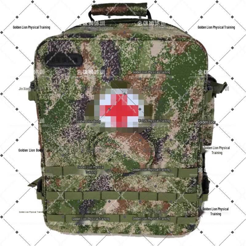 Golden Lion S2015 Medic Support System