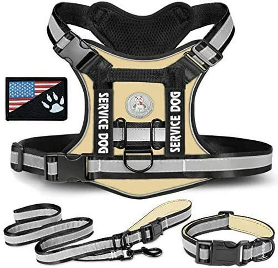 Cross-Border Tactical Dog Vest: Nylon Handheld Dog Harness for Outdoor Military Training