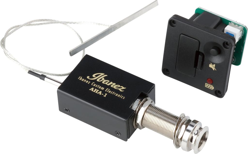 IBANEZ Nylonová akustická kytara pro elektrické hráče Zlatá metalická [Růžová plochá] FRH10N-RGF