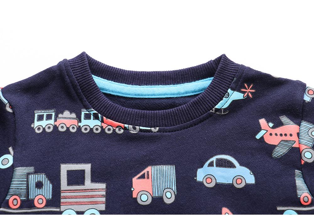 European Style Boys' Autumn/Winter Cotton Long Sleeve Hoodie