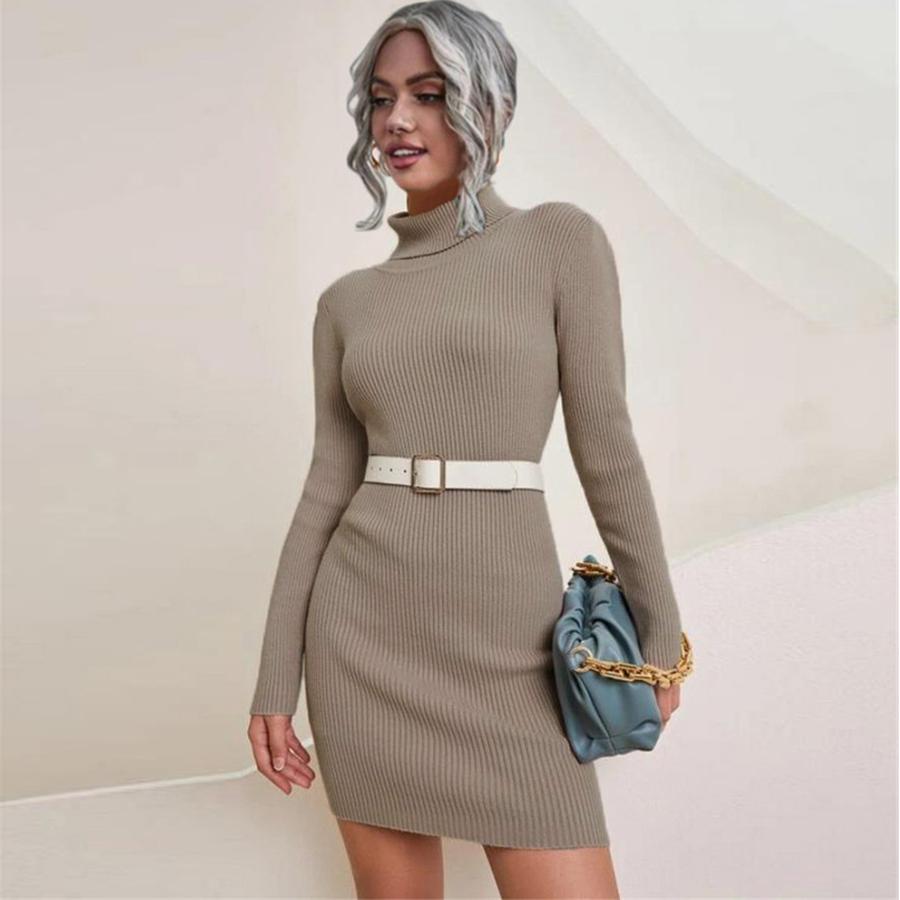 Women's Chunky Knit Long Sleeve High Neck Sweater Dress for Fall/Winter