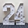 2pcs/set 73cm Lighting Double Number 24 KT Board,Glowing Sign,Perfect Photo Booth Backdrop for 24th Birthday,42th Anniversary,Graduation Holiday Party