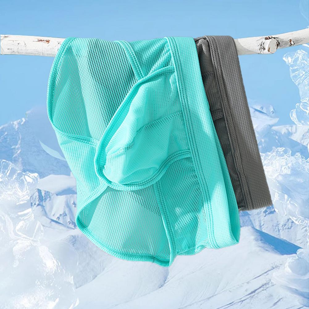 Men Panties Low-rise One Tone Slim Fit Briefs 3D U-Convex Breathable Mesh Ice Silk Thin Underwear Daily Wear