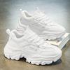 Spring Men's Shoes New Breathable Mesh Shoes Men's Trend Versatile Little White Shoes Platform Sports Shoes Casual Dad Shoes