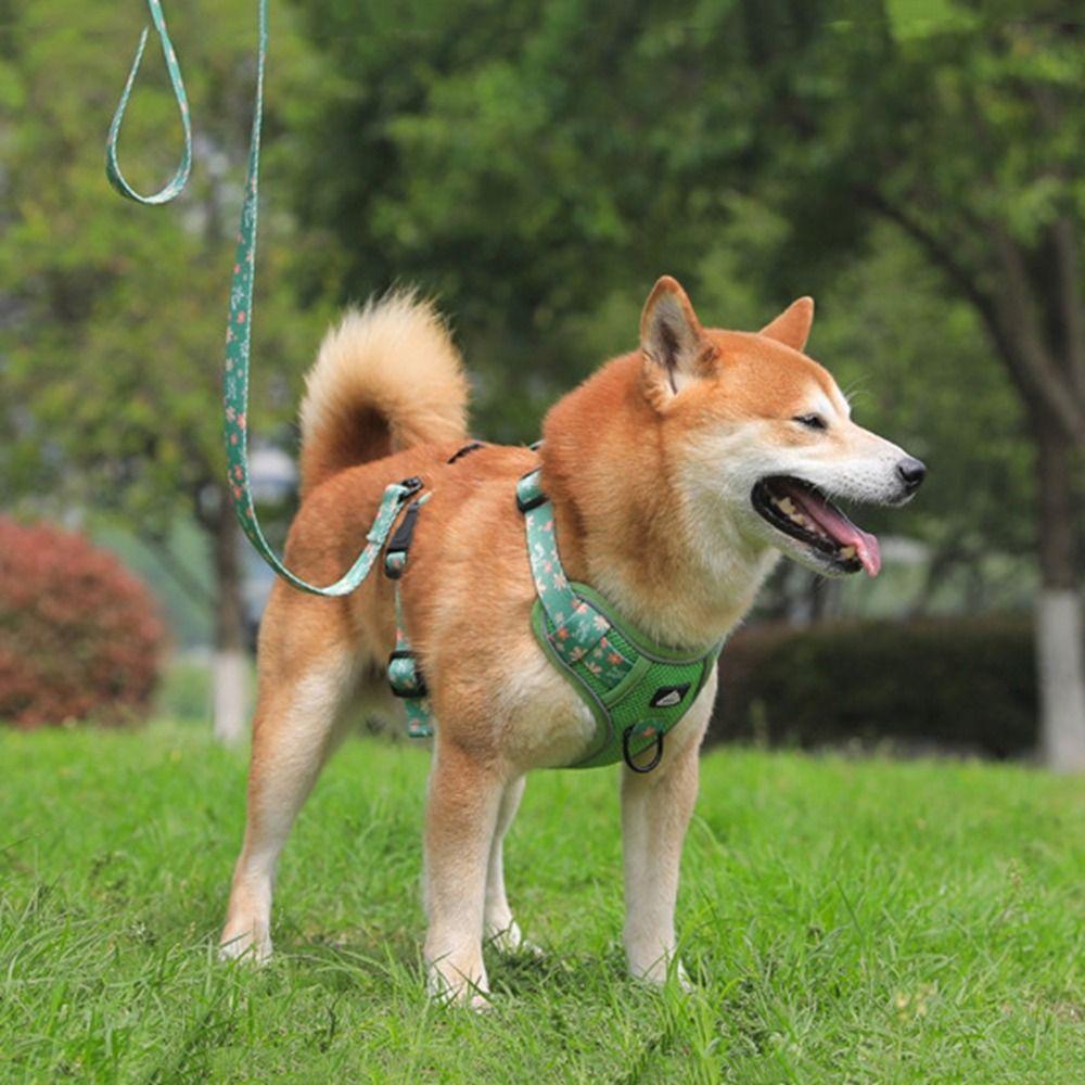 Atmungsaktives Hunde Geschirr Leine Set Verstellbare Katzen Geschirre Haustier Weste für Kleine Mittelgroße Hunde