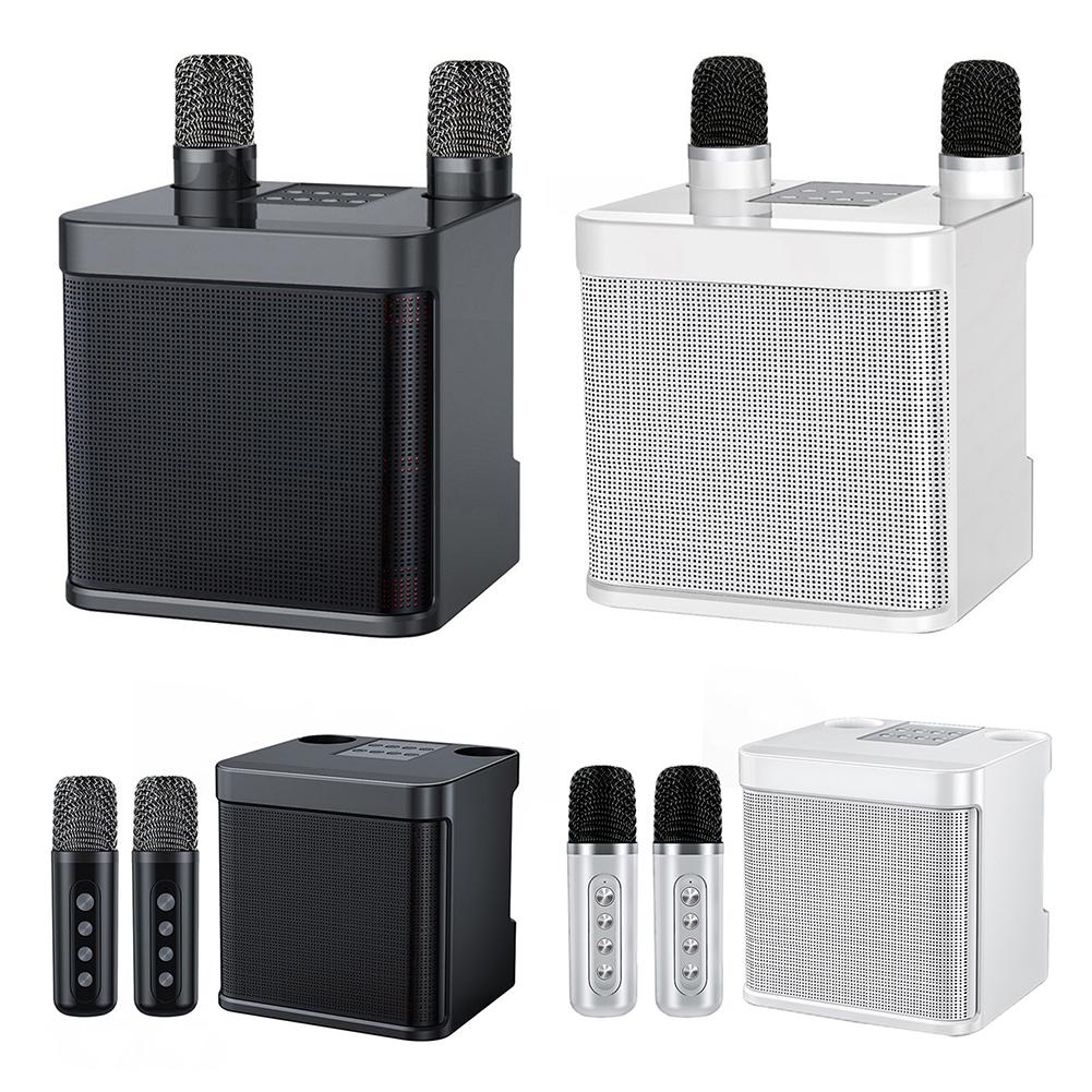 YS203 Tragbarer Bluetooth-Lautsprecher mit 2 kabellosen Mikrofonen, Karaoke-Maschine, Stereo-Surround, Karaoke-Subwoofer, Heimparty-Geschenke