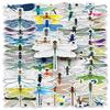 50 Dragonfly Doodle Personality Cartoon Insect Creative Decoration Mobile Phone Case Water Cup Suitcase Sticker Waterproof