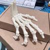 Flexible Joint Hand Bone Ornaments Realistic Design Zombie Festival Props  Home Ornament