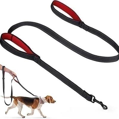 Odblaskowa, przeciwwybuchowa, amortyzująca smycz z podwójnym uchwytem dla dużych psów