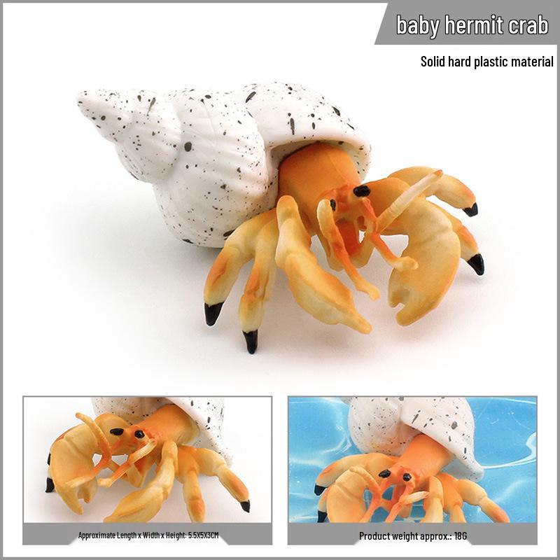 Children s Cognitive Hermit Crab Simulation Toy and Marine Life Decoration