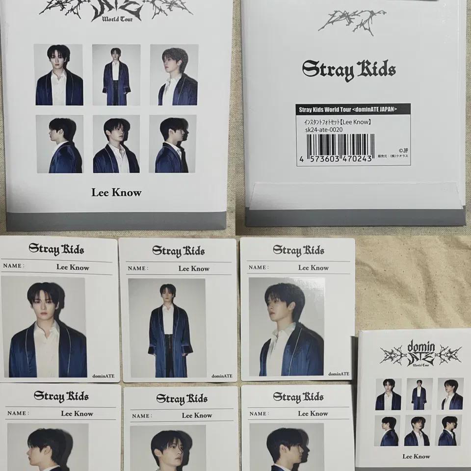 

Straykids Leeknow доминируют над мгновенным фотосетом